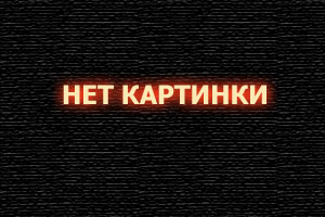 Обложка к Дети леса 2